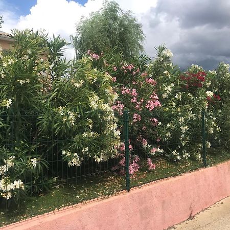Moderne Mini Maison Lézignan-Corbières Esterno foto