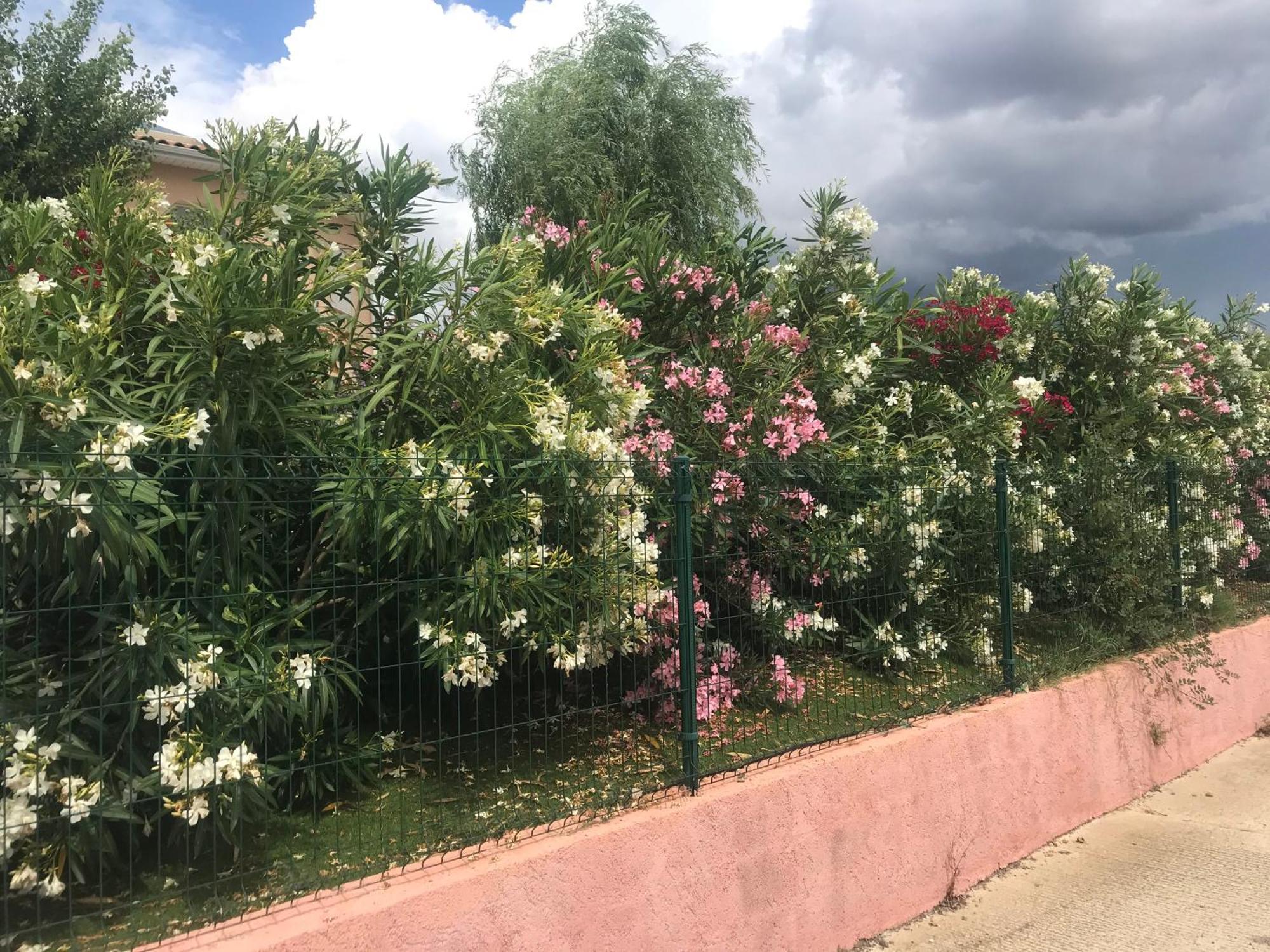 Moderne Mini Maison Lézignan-Corbières Esterno foto