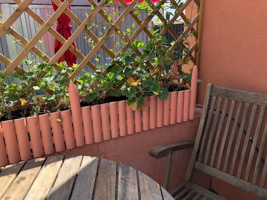 Moderne Mini Maison Lézignan-Corbières Esterno foto