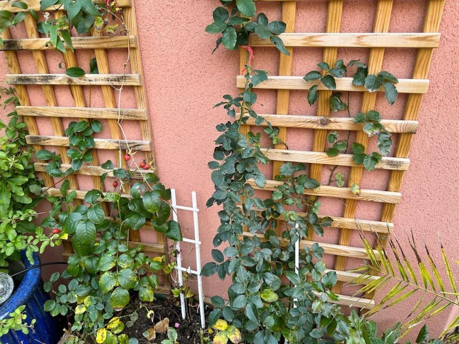 Moderne Mini Maison Lézignan-Corbières Esterno foto