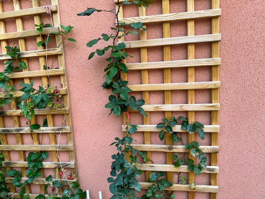 Moderne Mini Maison Lézignan-Corbières Esterno foto