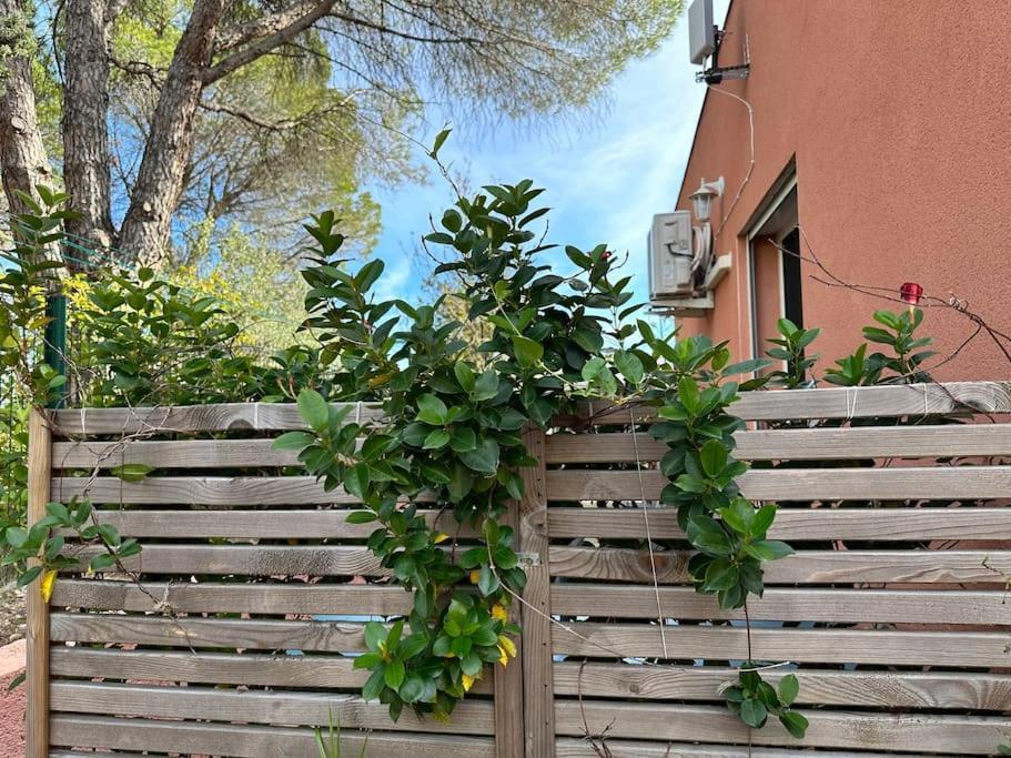 Moderne Mini Maison Lézignan-Corbières Esterno foto