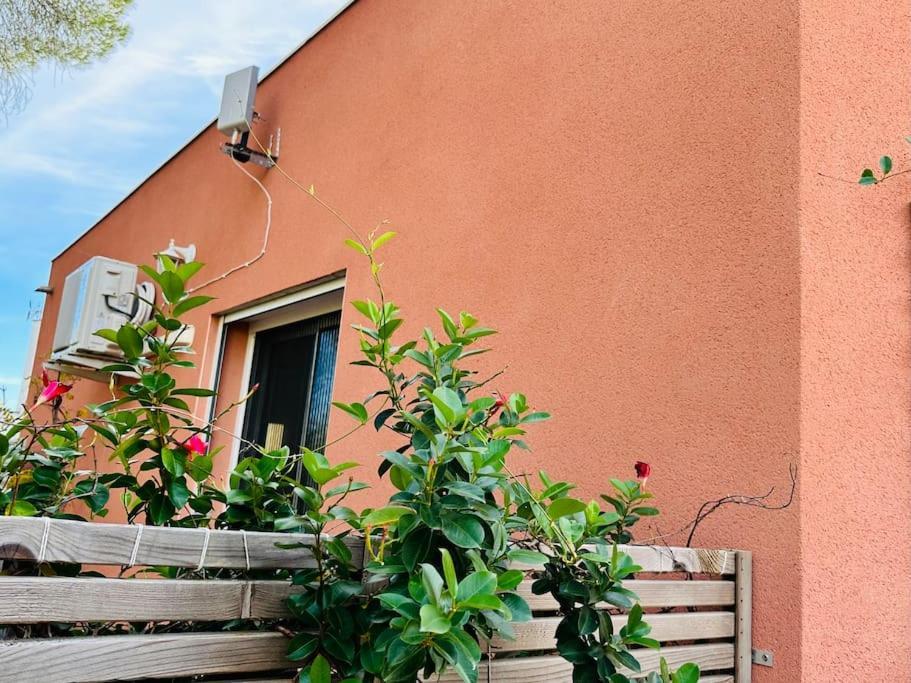 Moderne Mini Maison Lézignan-Corbières Esterno foto