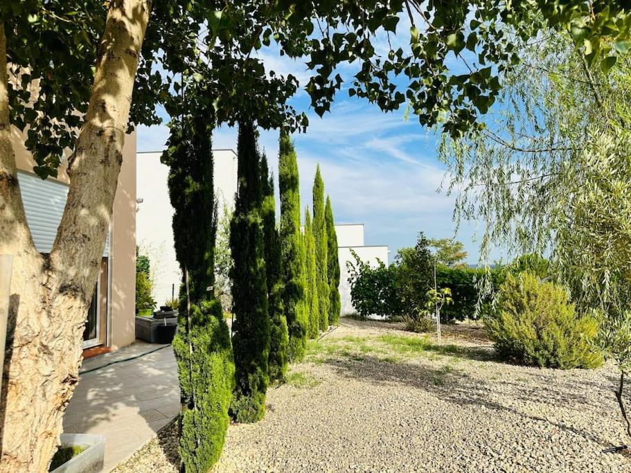 Moderne Mini Maison Lézignan-Corbières Esterno foto