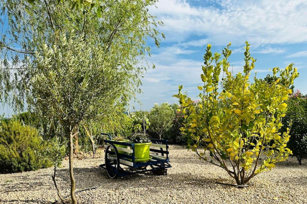 Moderne Mini Maison Lézignan-Corbières Esterno foto